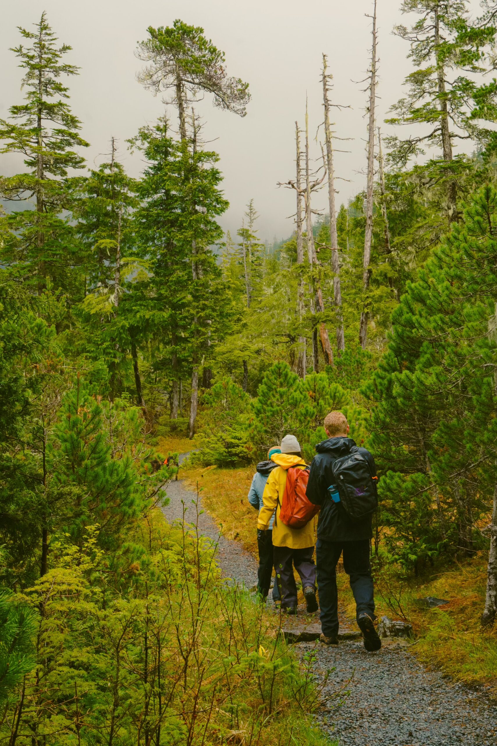 Hikers on a muskeg section of the Beaver Lake Loop.