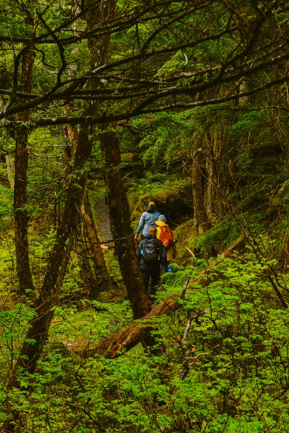Hikers walk through the 'hanging valley' that is featured in this trail.