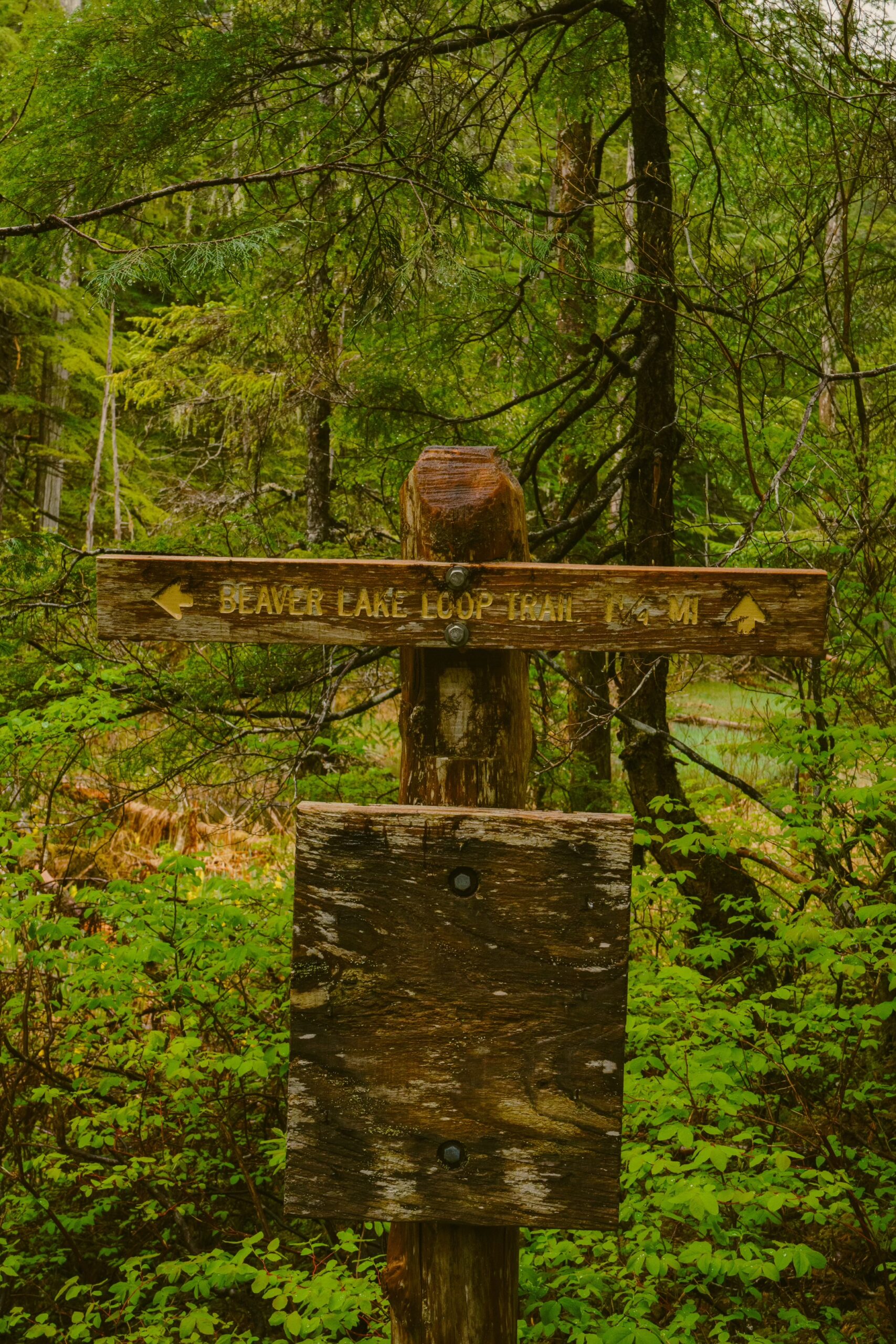 An image of the Beaver Lake Loop Trail trailsign.