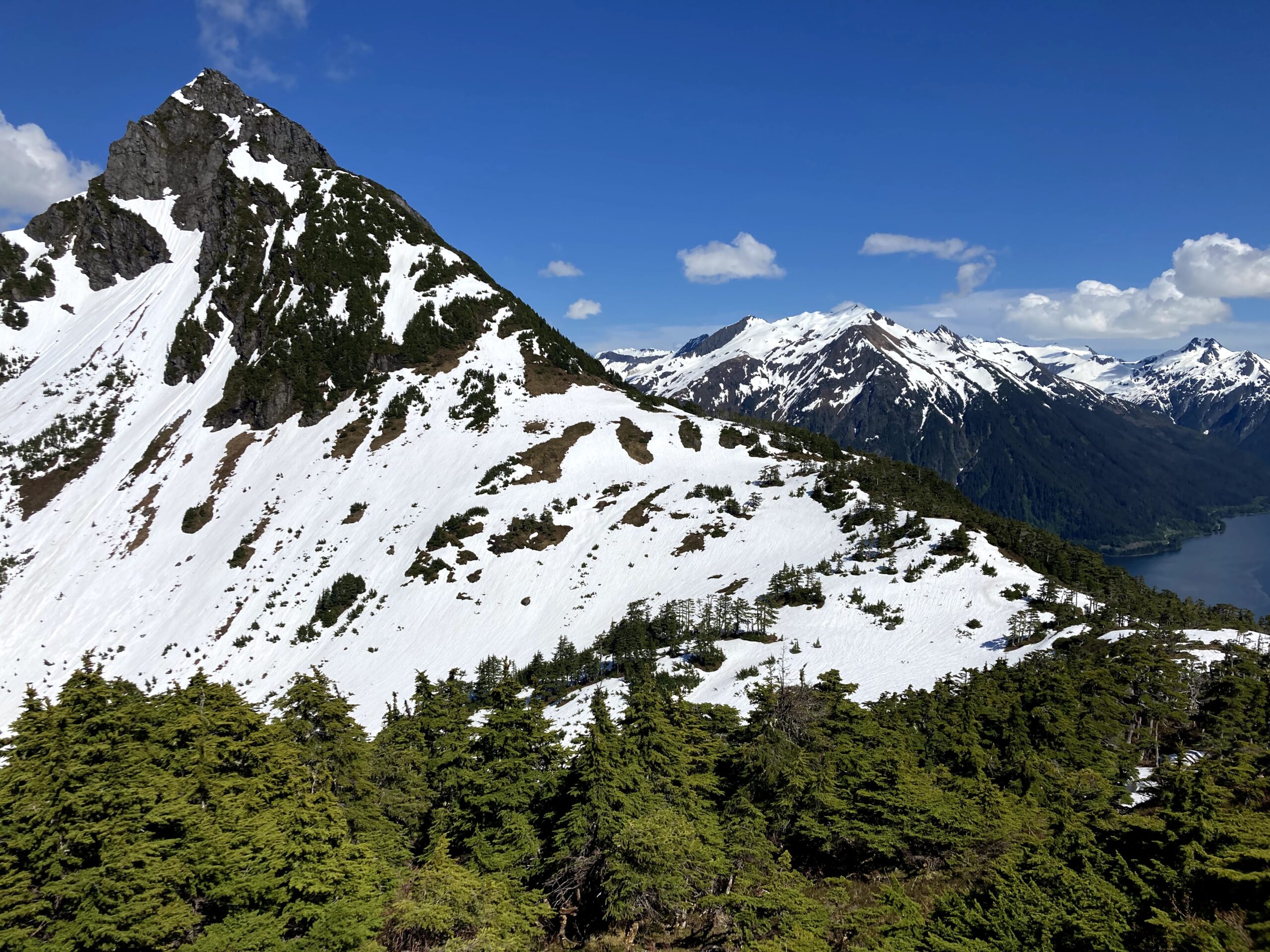 Mount Verstovia Trail