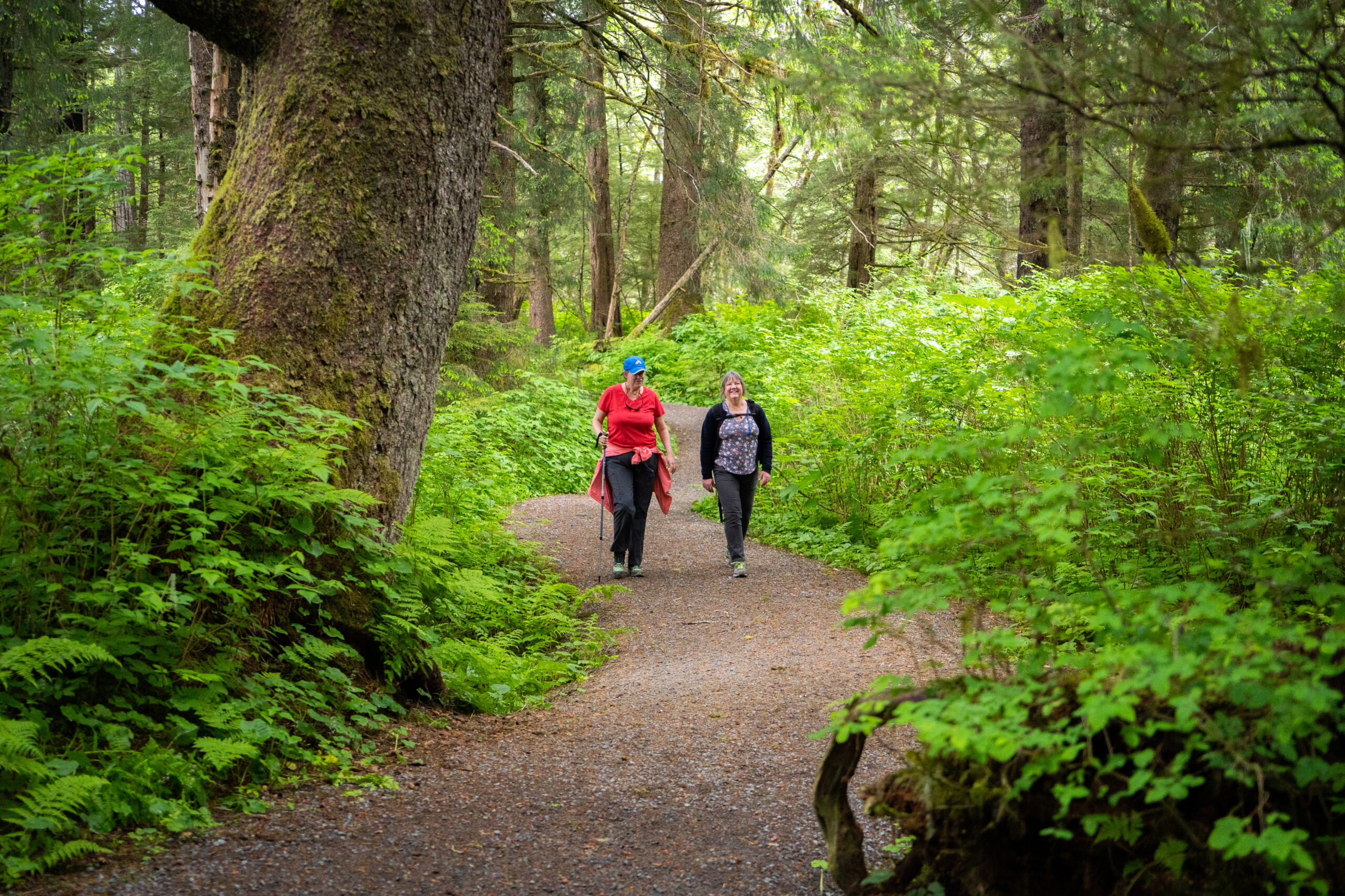 Two hikers walk along a forested section of the Sitka Cross trail.