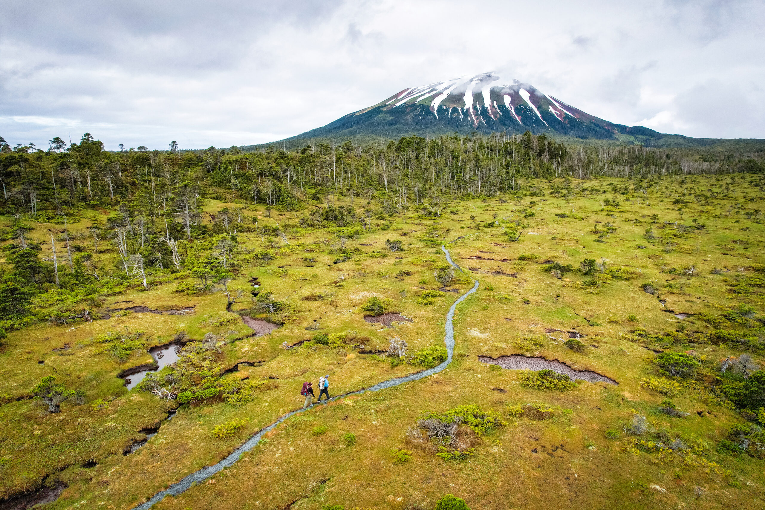 A drone photo from above of the Mt. Edgecumbe trail winding through the muskeg on the way to the volcano.