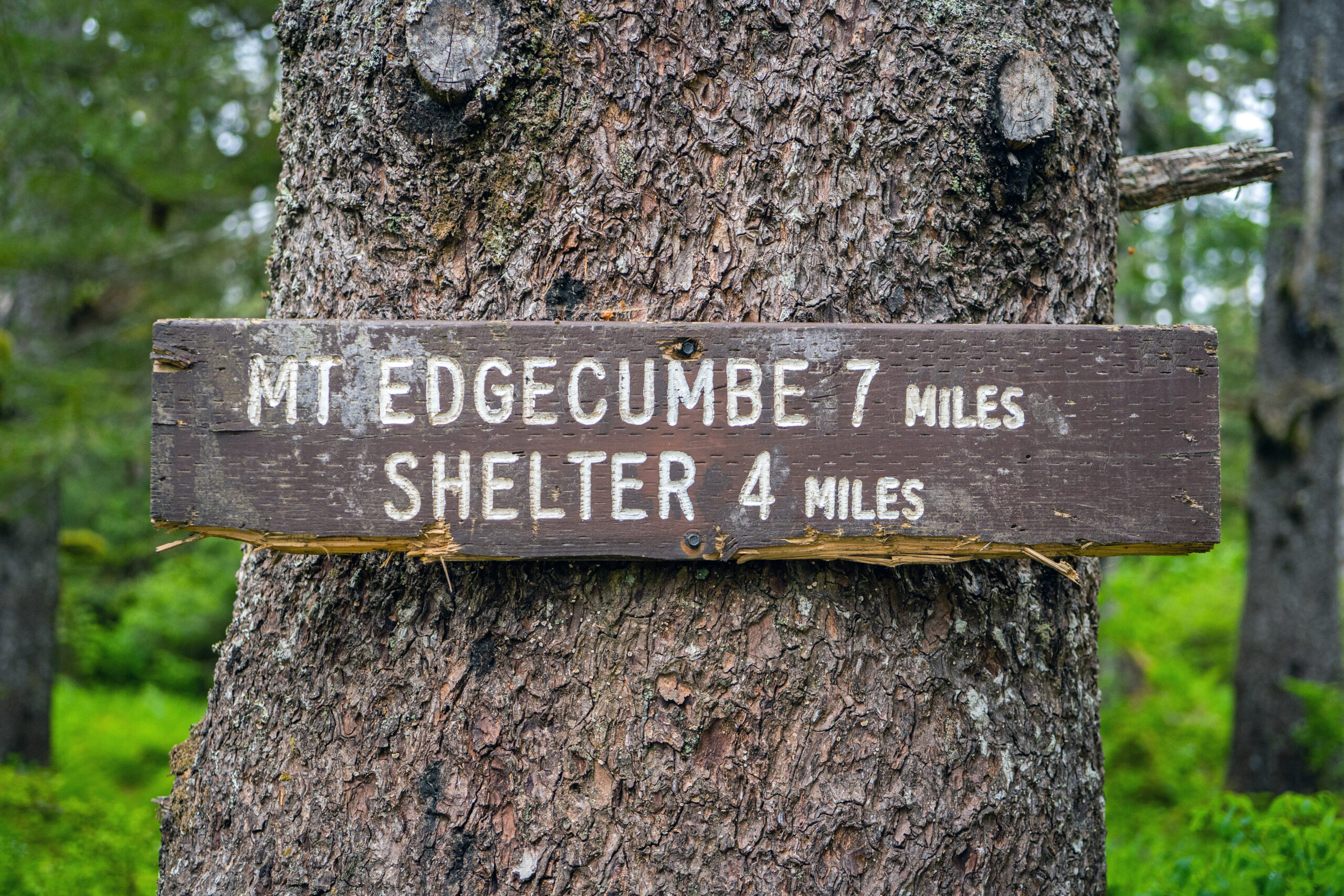 Trail sign nailed to a tree that reads, "Mt. Edgecumbe 7 Miles, Shelter 4 Miles"