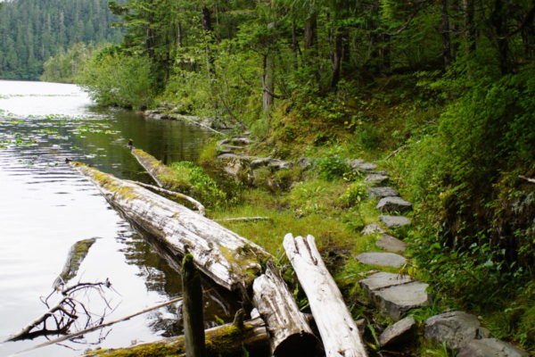 Beaver Lake - Backside of Trail