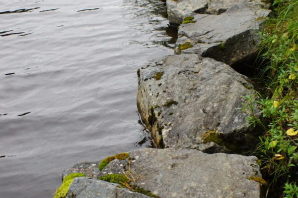Beaver Lake - Rock Steps