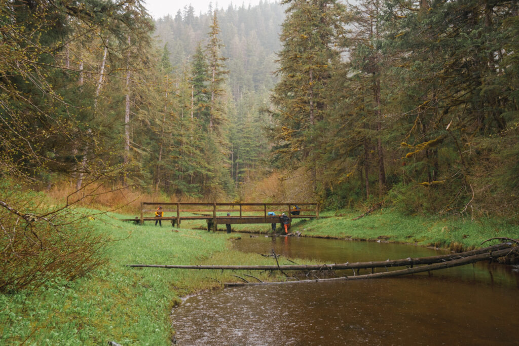 A bridge along the Lake Eva trail.