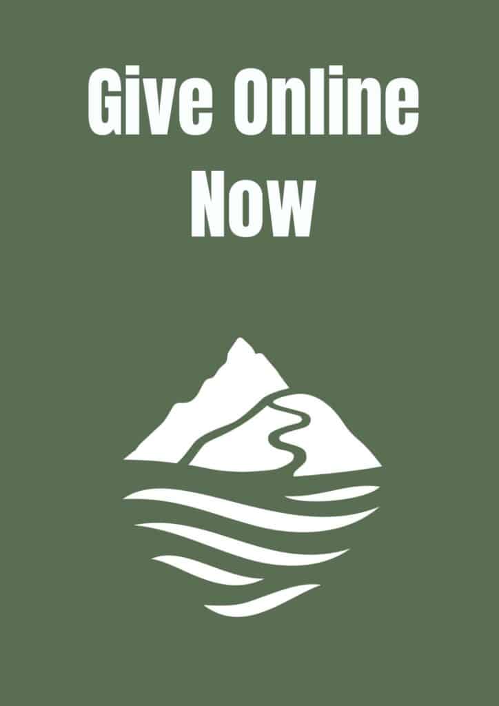 Give Online Now Icon